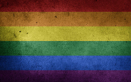 Curso online Universitario en LGTBI, Derechos Humanos e Igualdad de Género